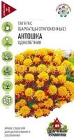 Бархатцы Антошка отклоненные 0,3г Гавриш Уд семена Бархатцы Антошка отклоненные 0,3г Гавриш Уд семена