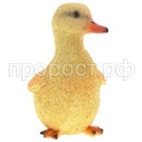 утенок стоит