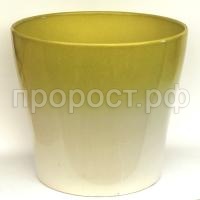 Лемон 2 Лемон 2