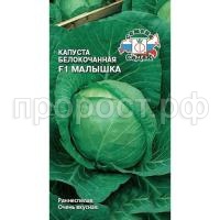 капуста малышка1 капуста малышка1