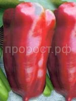 перец сл. воловье ухо