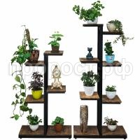 _DSC5255_1 _DSC5255_1