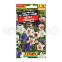 платикодон яркие вспышки,