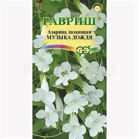 Азарина Музыка дождя 4шт