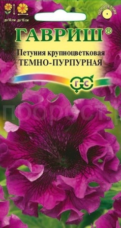 Петуния темно-пурпурная 7шт 