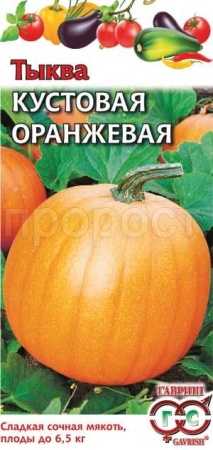 Тыква твердокорая Кустовая оранжевая 1г