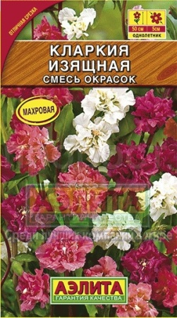 Кларкия Изящная смесь