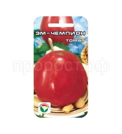 Томат Эм Чемпион 20шт