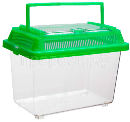 Черепашник с пластиковой крышкой BOX 003 18*11*13,5 см