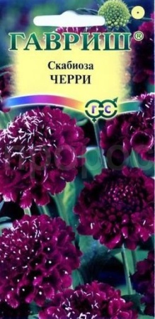 Скабиоза пурпурная Черри 0,2г