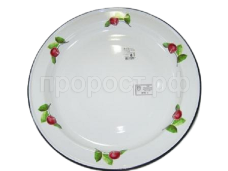 Поднос 2л круглый-казахский белая 43304-102/4-k /8шт/Керчь