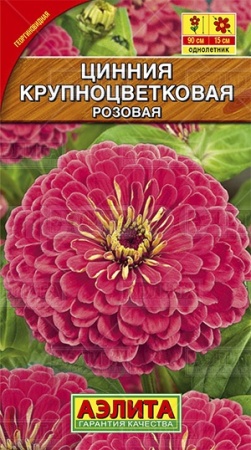 Цинния Крупноцветковая розовая