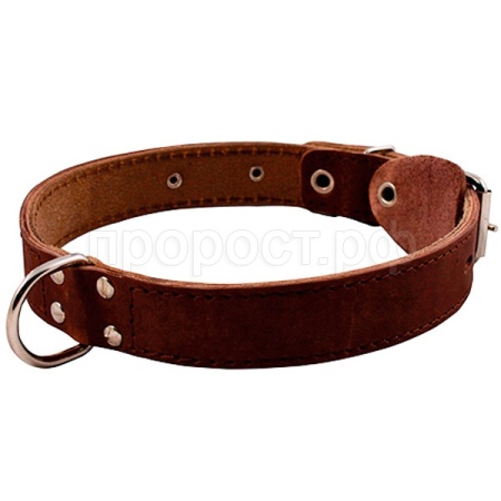 Ошейник кожа 12мм с кольцом посередине 20-24см/00012005/Каскад
