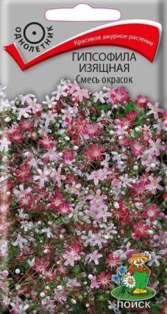 Гипсофила изящная Смесь окрасок 0,2г 