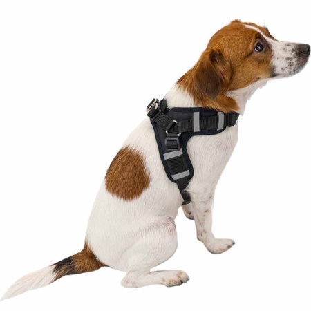 Шлейка текстиль 3х-слойн ГАББИ S+3D-сетка грудь 32-49см черная/35601/Дарэлл