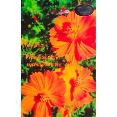 Космея Оранжевое настроение 20*0,5