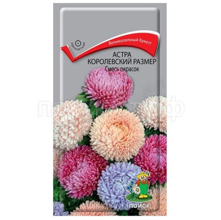 Астра королевский размер Смесь окрасок 0,1г