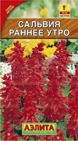 Сальвия Раннее утро 0,1г
