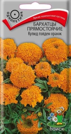 Бархатцы Купид голден оранж 0,2г