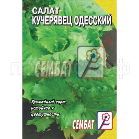 Салат Кучерявец одесский 1г