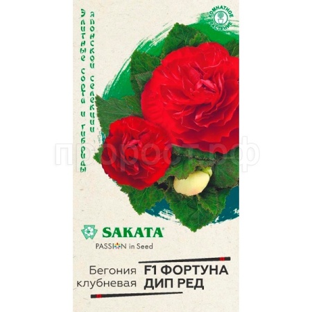 Бегония Фортуна Дип ред 4шт