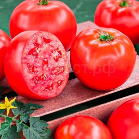 Томат Президент 2 F1 100 шт