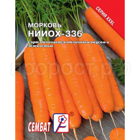 Морковь НИИОХ 336 10 г 
