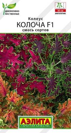  Колеус Колоча F1 смесь сортов 5шт 