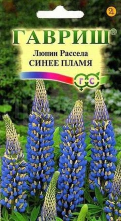 Люпин Рассела Синее пламя 0,5г