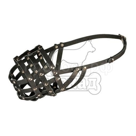 Намордник кожа №5/04005011