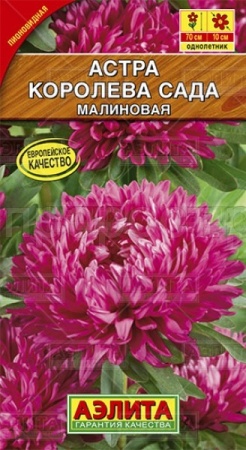 Астра Королева сада малиновая 0,2г