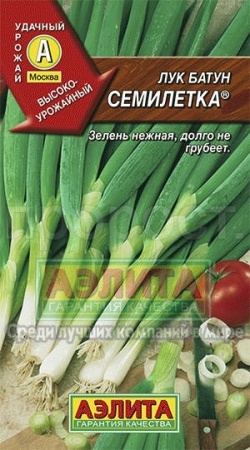 Лук батун Семилетка 0,5г 
