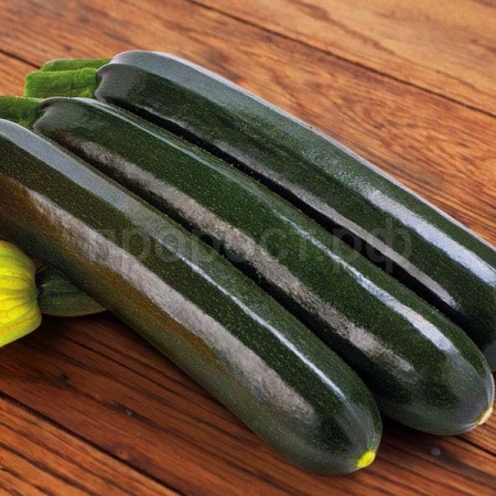 Кабачок цуккини Сальвадор F1 20*3шт 