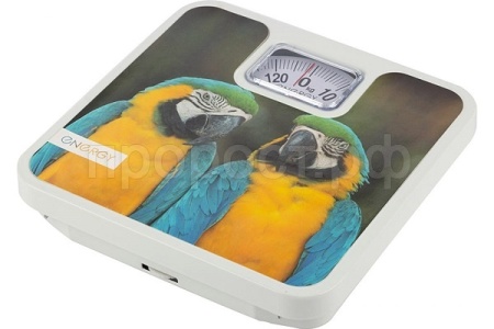 Весы ENERGY механические напольные до 120кг ENМ-409H 101254 /12шт/