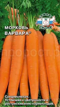 Морковь Варвара 2г