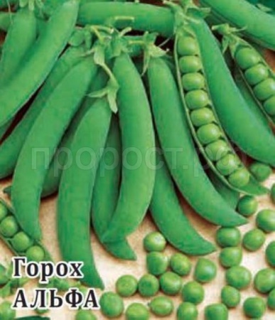 Горох Альфа 100 г