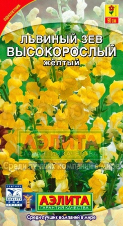 Львиный зев высокорослый желтый 