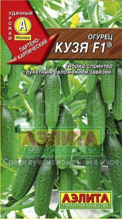 Огурец Кузя F1