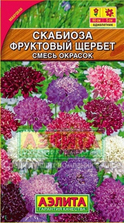 Скабиоза Фруктовый щербет махровая смесь