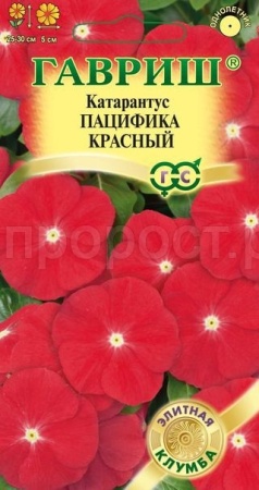 Катарантус Пацифика Красный 5шт
