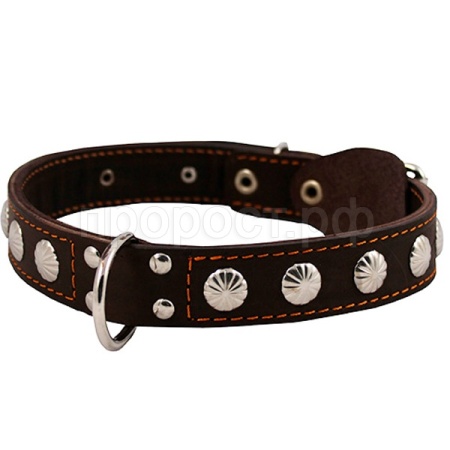 Ошейник кожа 30мм двойной с украшением и кольцом посередине 44-53см/00030041/Каскад/