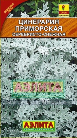 Цинерария Серебристо-снежная 0,05г
