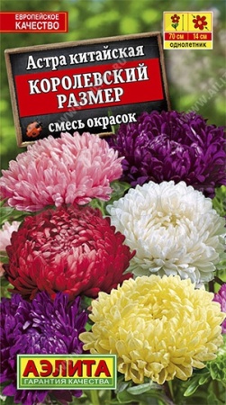 Астра Королевский размер смесь пионовид 0,1г