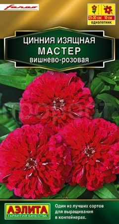 Цинния Мастер вишнево-розовая 12шт