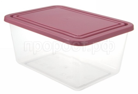 Контейнер для пищевых продуктов 0,8л прямоугольный ягодный М1451 