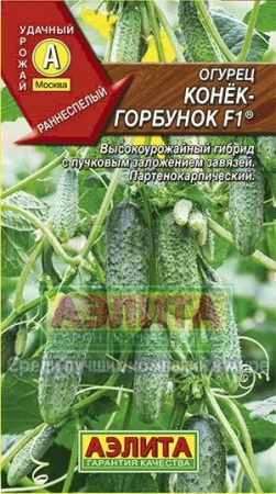 Огурец Конек-горбунок F1 