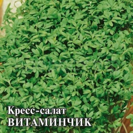 Кресс-салат Витаминчик 100 г