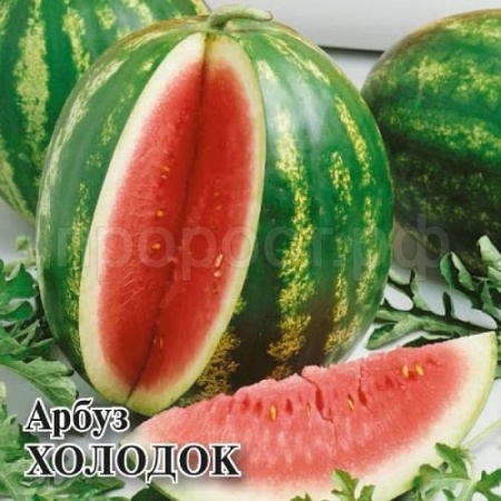  Арбуз Холодок 10 г