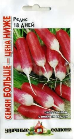 Редис 18 дней 6 г