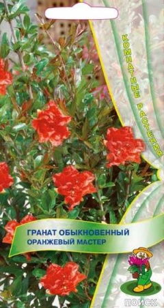 Гранат обыкновенный Оранжевый мастер 5шт